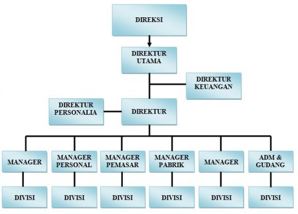 Struktur Organisasi Perusahaan: Fungsi, Jenis dan Susunannya - Dosen